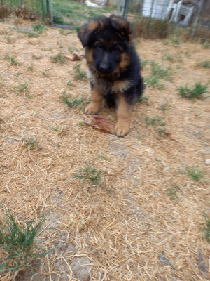 BAXTER